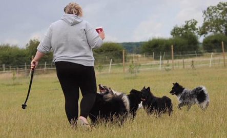 Meet our breeder relationship manager